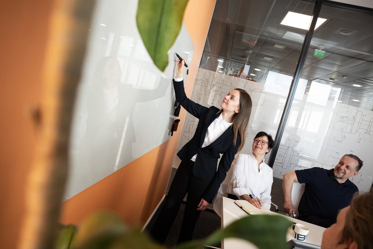 featured image for post: Fibox’s first VSME report creates a foundation for the future