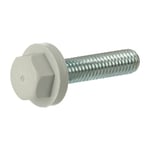 MB 10345 thumb 5